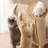 Dione Nest Pet Bed