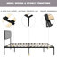 Edlow Upholstered Bed-1521054820