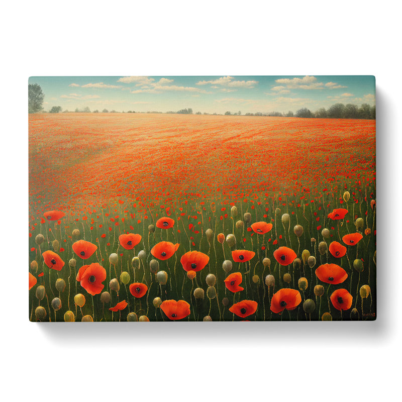 Iconic Poppy Field Flowers - Wrapped Canvas, 50cm H x 76cm W x 3cm D