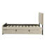 Structure de lit simple tapissier en velours avec lit gigogne simple, beige - Lit gigogne / d'invité peu encombrant-118761782-118761780