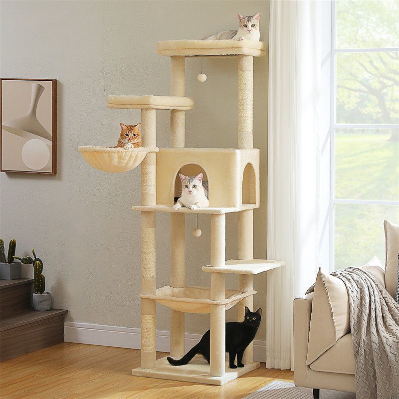 Arbre à chat, Beige