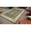 Infinity Oriental Area Rug in Sage Green
