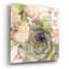 «Succulents 08» par Lightbox Journal-823826735