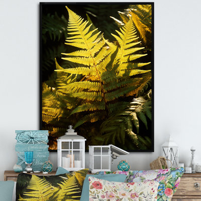 «Wonderland Ferns in Green World», reproduction sur toile