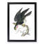 Blue Falcon by George Shaw - Framed Print-57844433-57844431