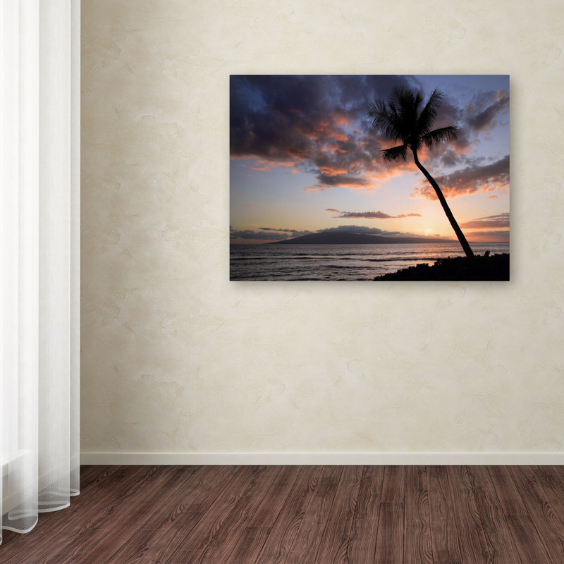 « palm tree maui » par pierre leclerc,, reproduction de photo sur toile tendue encadrée, H 30 po x l 47 po x P 2 po