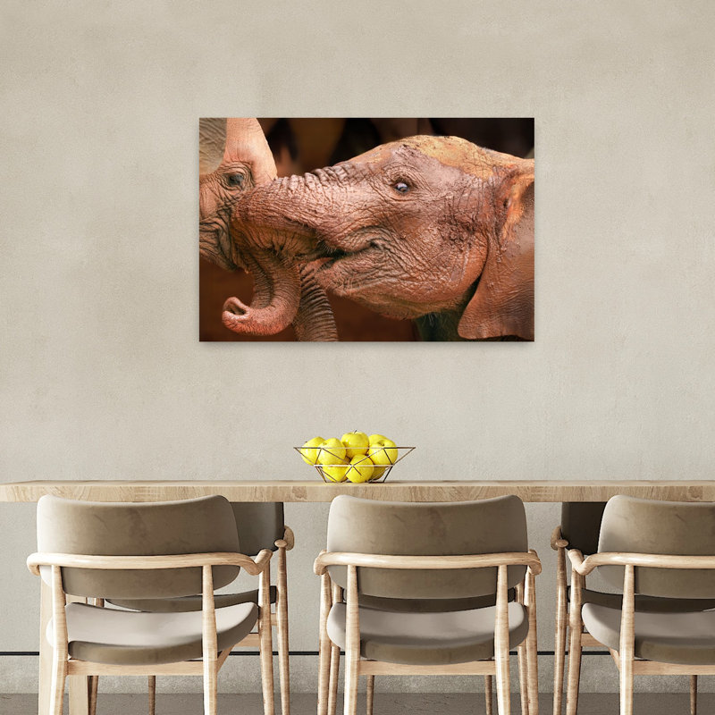 Baby Elephant Love Contemporary Elephant Nature Wildlife Wall Art Print by Jeffrey C. Sink - 1 Piece Wrapped Canvas Wall Art