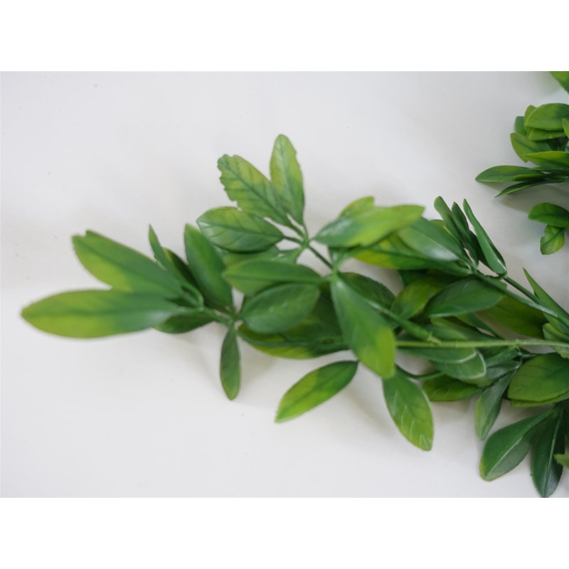 Hanging Plants X6 70cm Plant