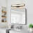Kazuma 15''W Dimmable LED Black Iron Vanity Light 3000K/4000K/5000K 3CCT Adjustable-1280509692-1329253441