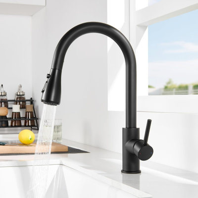 Rebrilliant Kitchen Faucet