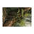 Nature Brown Indoor and Outdoor Area Rug-1212657907