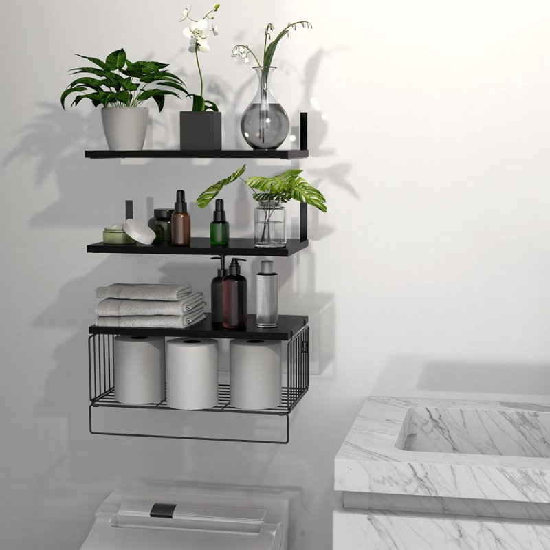 Achilleus 3 Piece Floating Shelf, Black