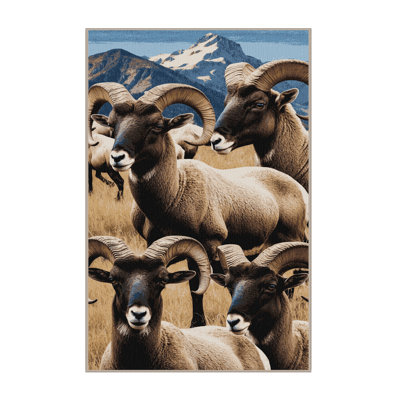  Tapis lavable Bighorn Sheep