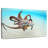 Brampt Wild Ocean Octopus-108872409