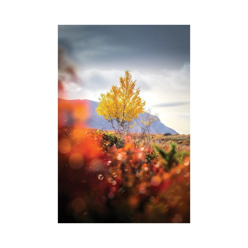 Lonely I by Lauri Lohi - Wrapped Canvas Print, 66.04 cm H x 45.72 cm W x 1.91 cm D