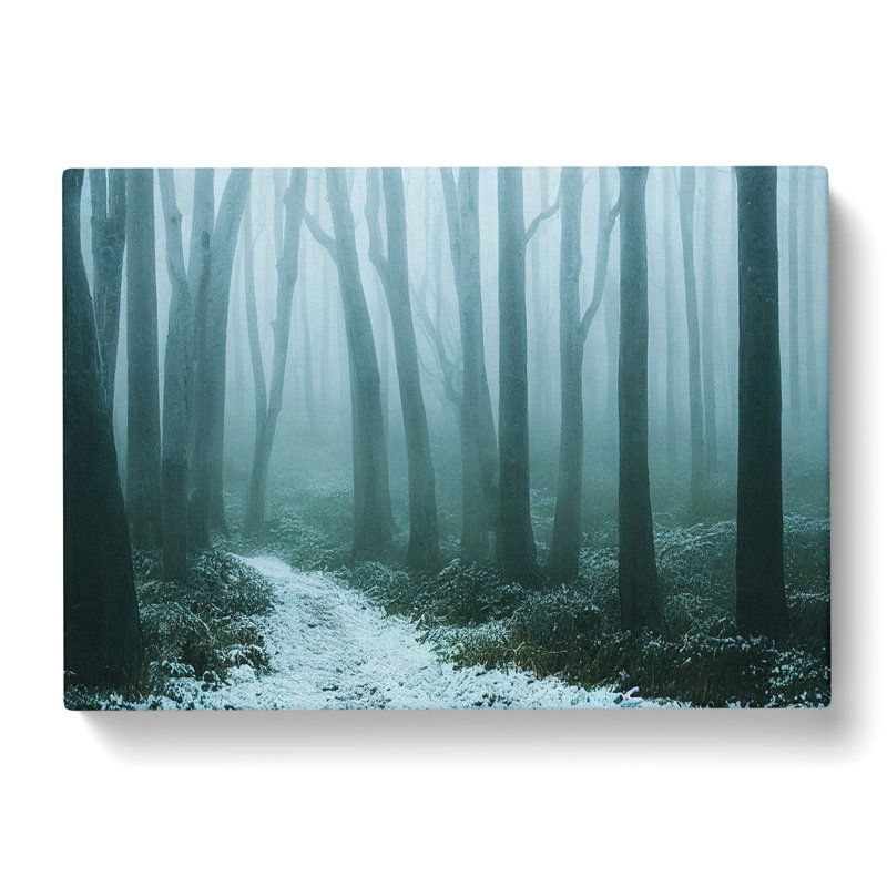 An Enlightening Winter Forest - Wrapped Canvas, 40cm H x 60cm W x 3cm D