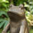 12''H MGO Bronze Squatting Frog Statue