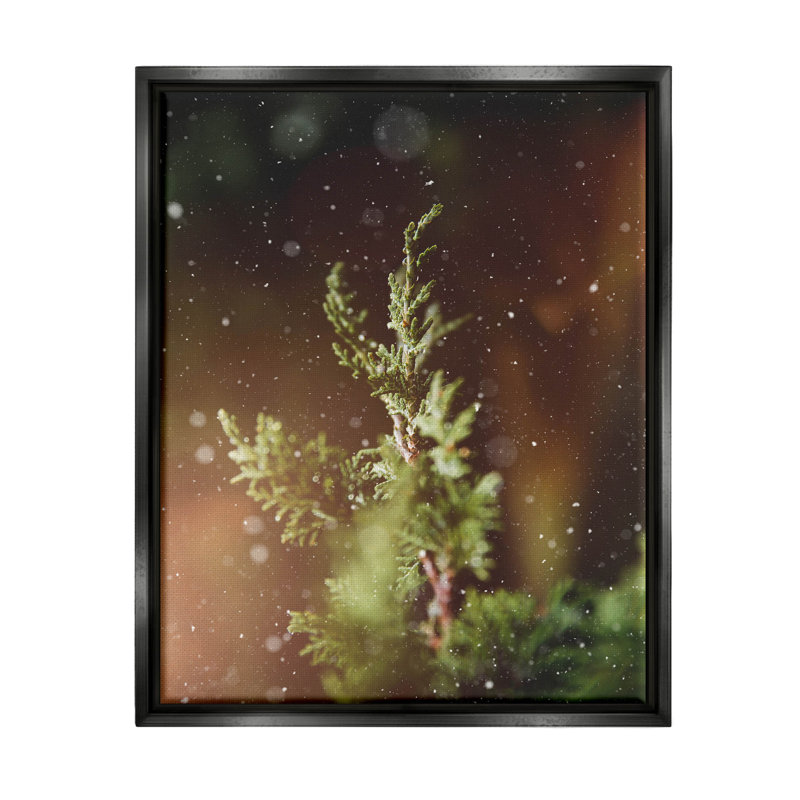 Winter Snowfall Night Pine Tree - Photographie à cadre flottant sur toile, Cadre flottant noir de jais