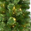 Lighted Artificial Pine Christmas Tree-2102225396
