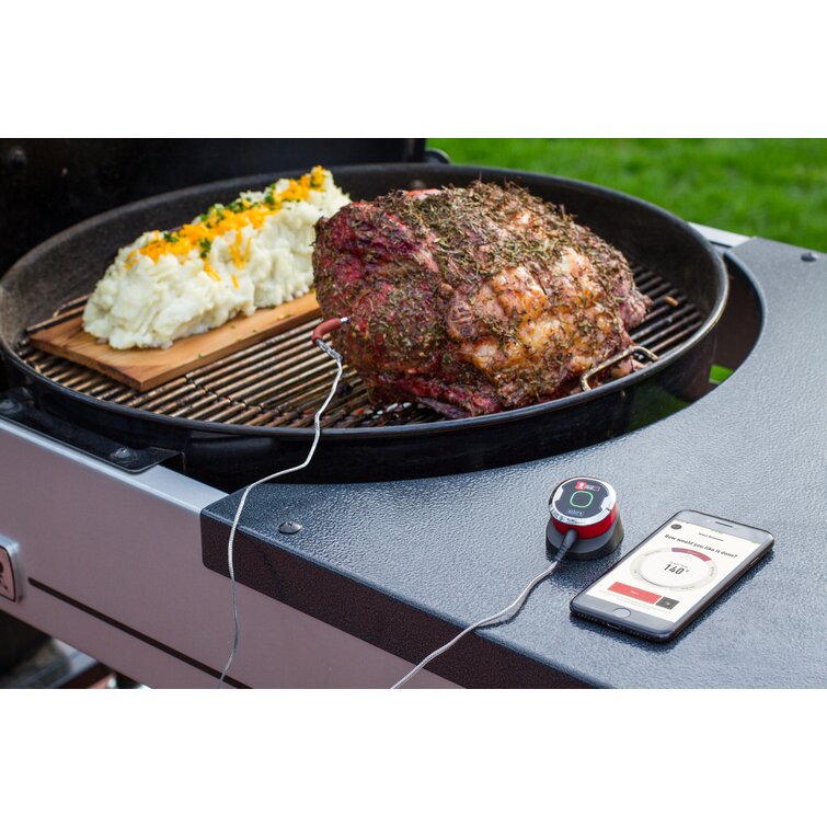 Weber Grill Mini