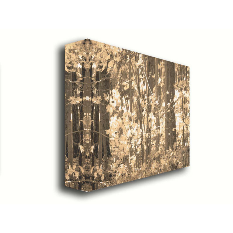 Forêt d'automne par Hal Halli. Toile giclée sur toile tendue avec cadre flottant, H 30 po x l 40 po, Toile tendue