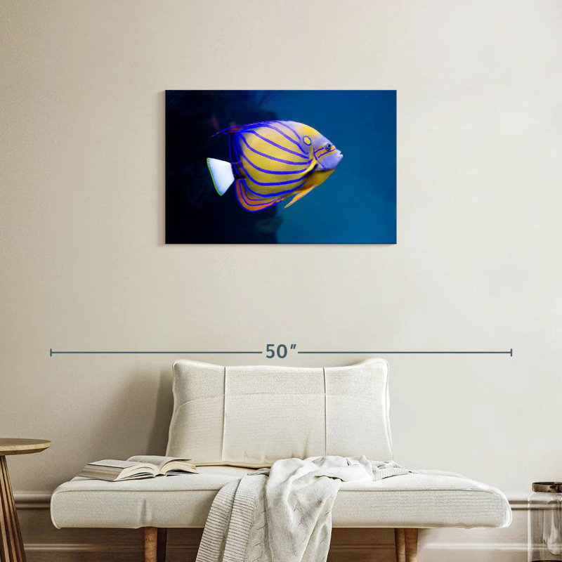 Brampt Colorful Angelfish, 20" H x 30" W