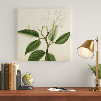 Garden Bounty VI - Wrapped Canvas Print