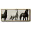 Wild Stallions - toile encadrée-110642380