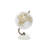 Marble Educational/Geographic Earth White Globe with White Marble Base