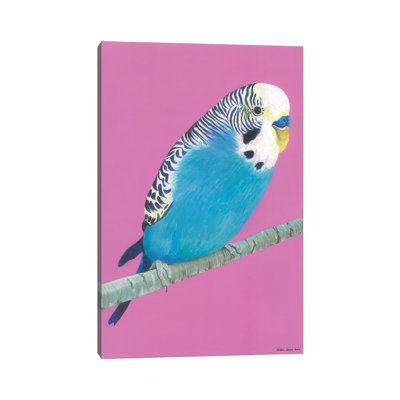 Blue Budgie 1 Piece Wrapped Canvas Painting