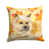 Cairn Terrier