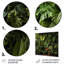 Jungle Plants Whispers Collage 1 - art mural en métal Jungle-775494020