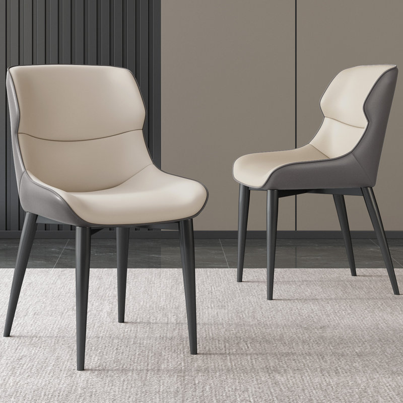 Abishan Modern Dining Chairs Set Of 2 ,2 Pieces Dining Room Chairs for Kitchen, Bar,Dining Room