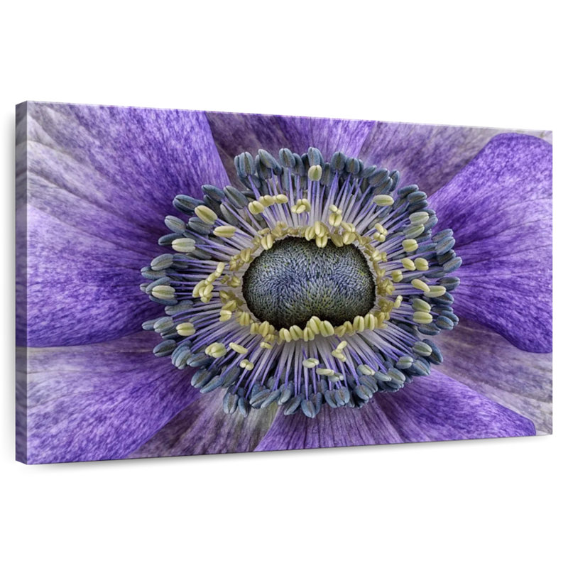 Harnek Purple Flower Close Up, 32" H x 48" W
