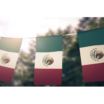 Flag of Mexico 1 Piece Wrapped Canvas Wall Art