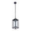 Modern Outdoor Pendant Light