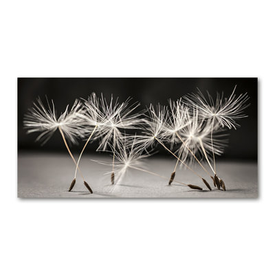 Dandelion Seeds - Wrapped Canvas Print