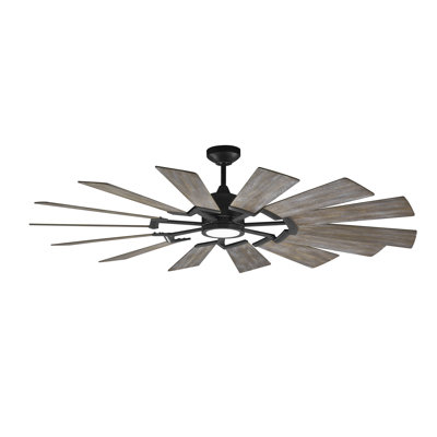 Elainea Ceiling Fan with LED Light Kit