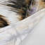 Tapisserie murale Wildlife Sitatunga-133637712