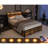 Queen Bed Frame With 8 Storage Compartments, Led Headboard Charging Facility, Metal Platform, No Box Spring, Noise-, Stable, Lime Brown Sepia