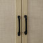 4 Door Storage Cabinet-1081873118