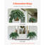 60cm Faux Fern Plant-1788137153-1788137158