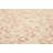 Cartersville Wool Polka Dots Indoor Rug