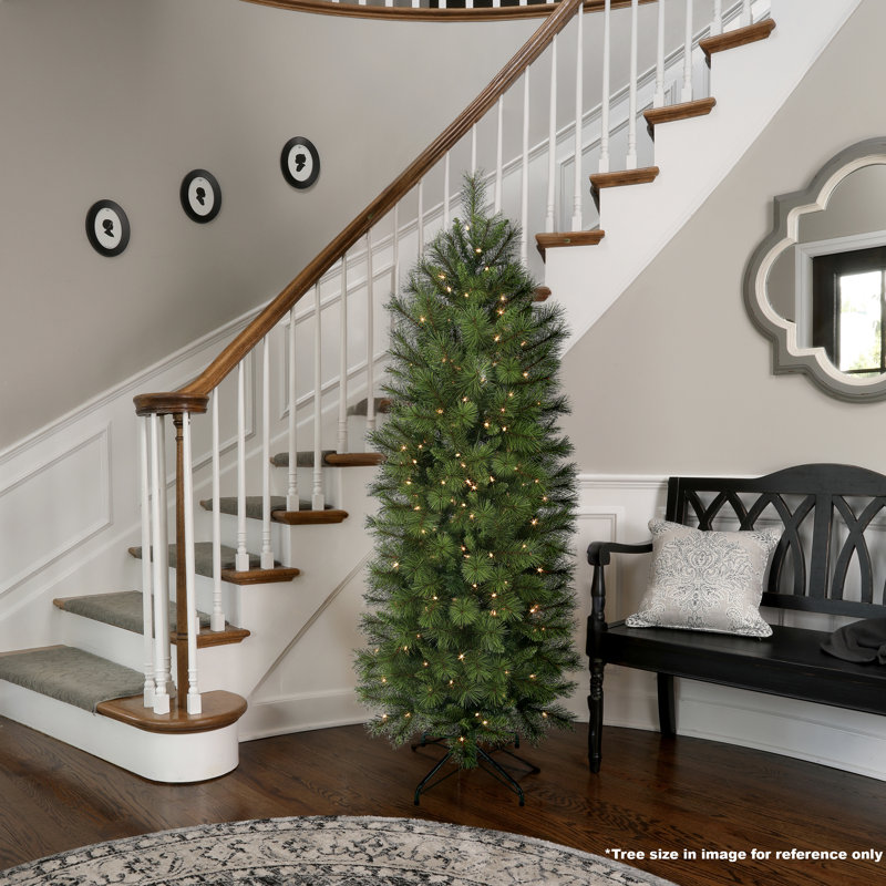 LED Belgium Mix Pencil Tree, 6'