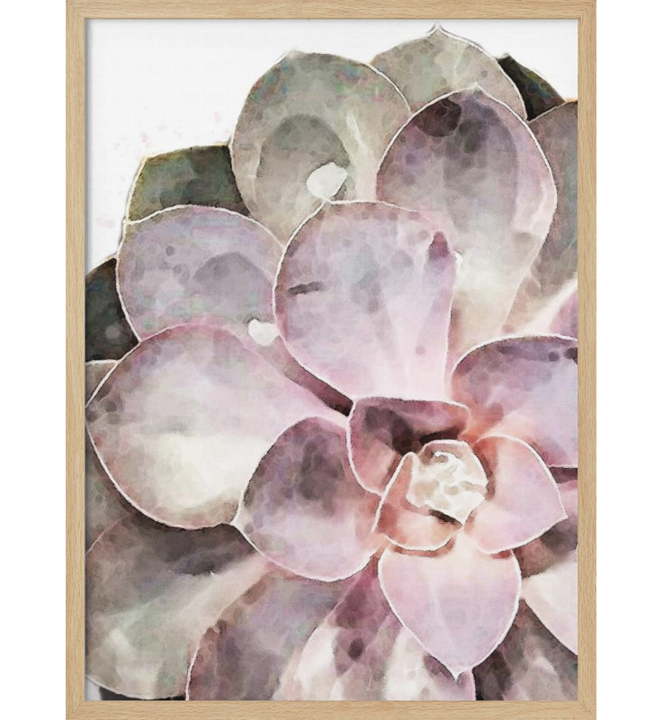«Succulent Gros plan», art mural texturé encadré, Naturel, H 14 po x l 10 po