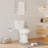 Two-Piece Toilet For Bathroom, Elongated Toilet With Comfort ADA Height 19", Soft Close Seat
