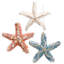 Starfish Ornament - 7 Inches Set Of 6