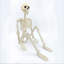 36 po articulations articulées mobiles 36 po