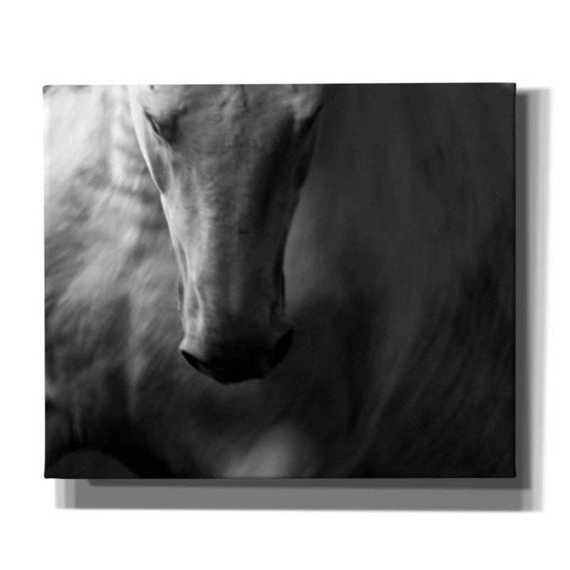 «fado1» par Susan Friedman,, H 20 po x l 24 po x P 0,75 po