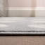 Tapis gris clair / crème Edden-2051451441